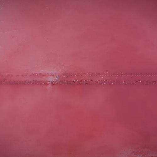 Photo #3714813