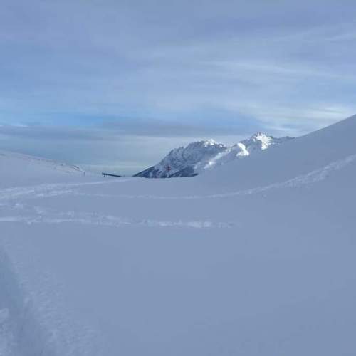 Photo #3715241