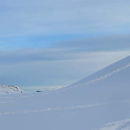 Photo #3715242