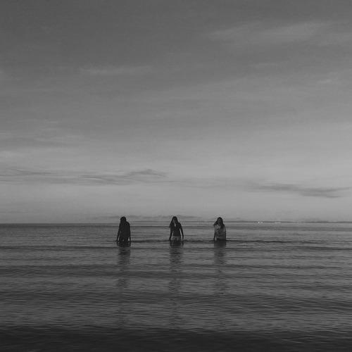 Photo #3715302