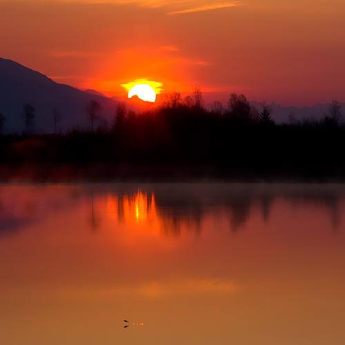 Photo #3715392
