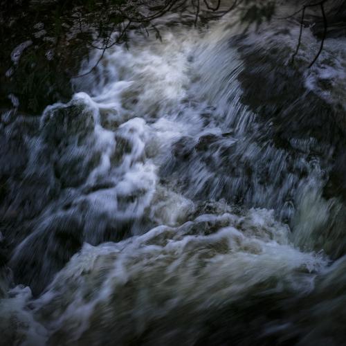 Photo #3715436