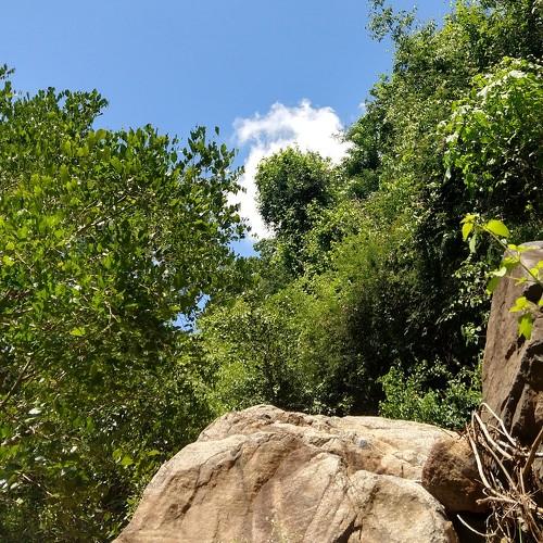 Greeny with clouds
