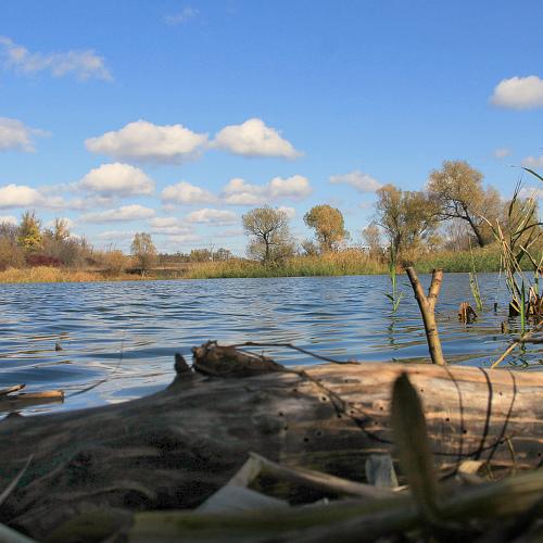 Photo #3715657