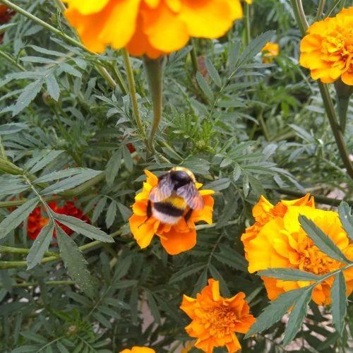 Photo #3715684