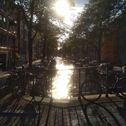Photo #3716675