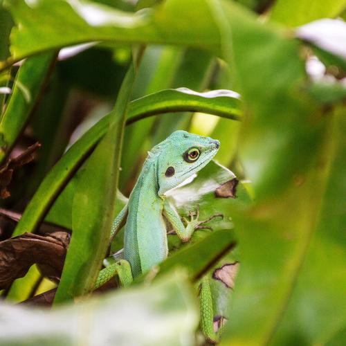 Photo #3716688