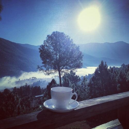 Photo #3716870