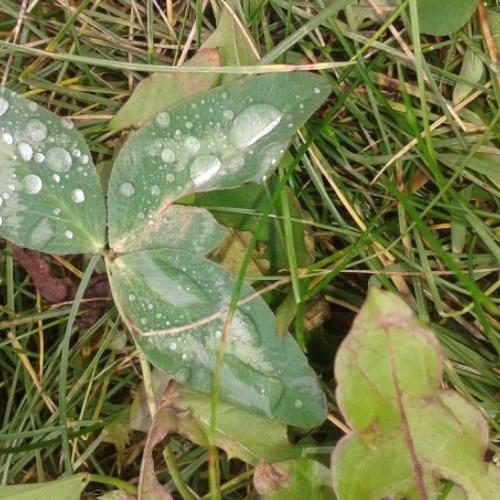 Photo #3716986
