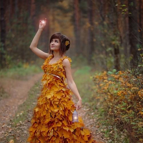 Photo #3717241