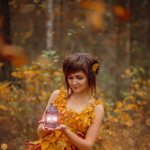 Photo #3717249