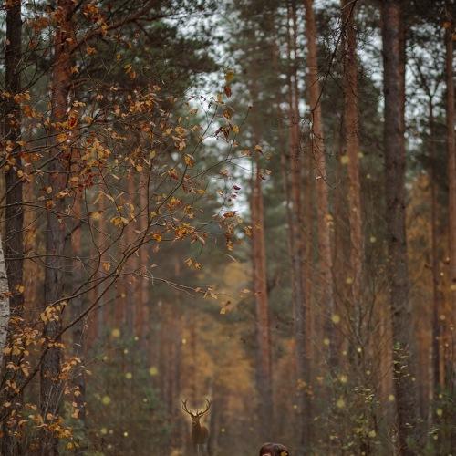 Photo #3717262
