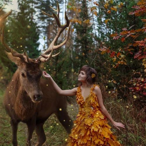 Photo #3717279