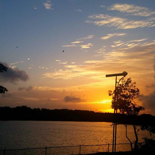 Photo #3717287