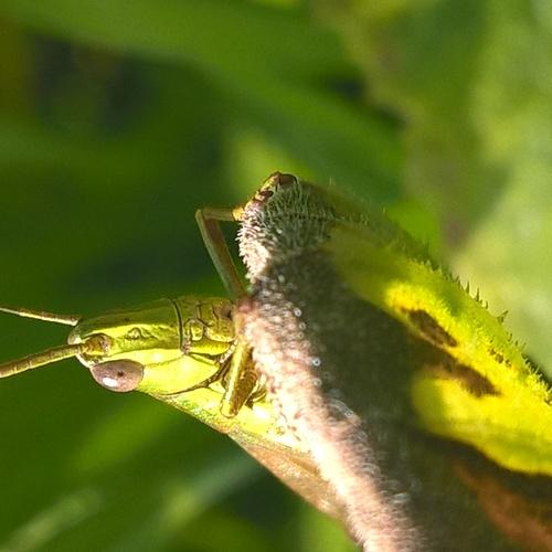 Photo #3717399