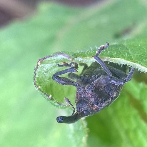 Photo #3717401