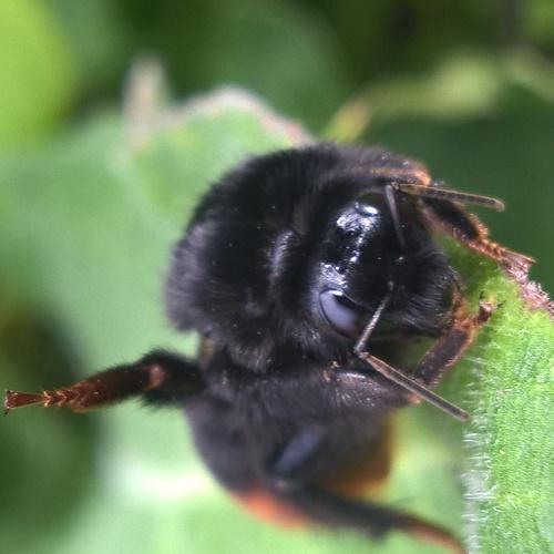 Photo #3717461