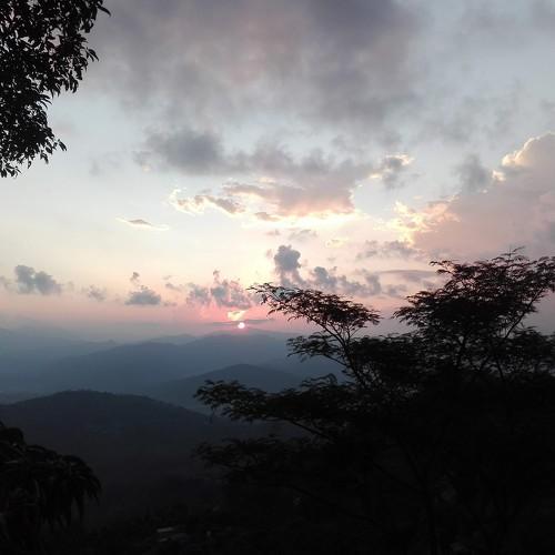 Photo #3717517