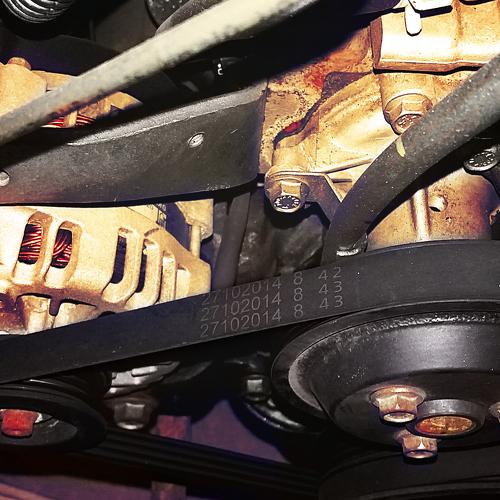 Photo #3717558