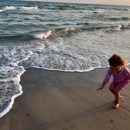 Photo #3717635