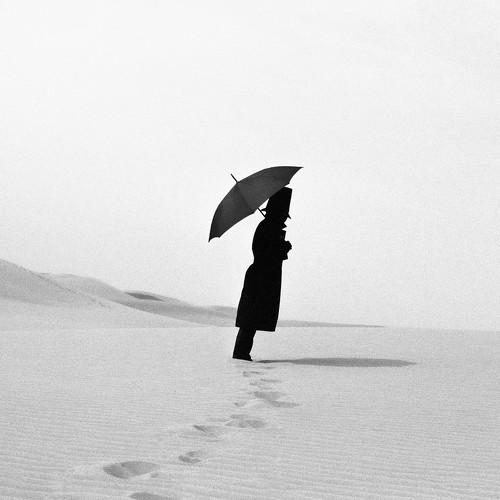 Reflections in the Dunes