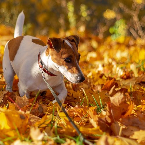 Photo #3718750