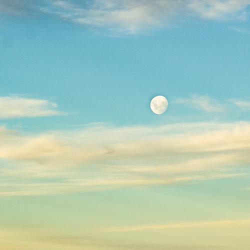Photo #3718971