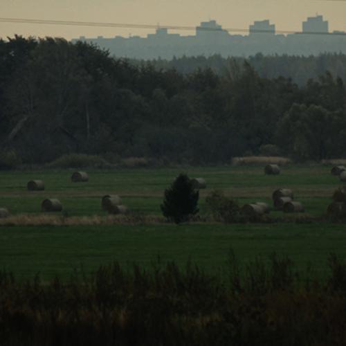 Photo #3719031