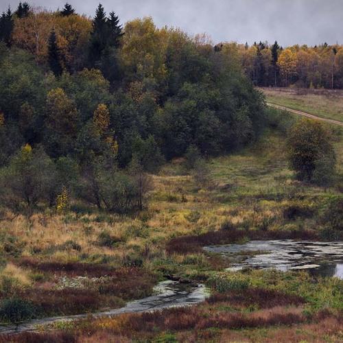 Photo #3719034