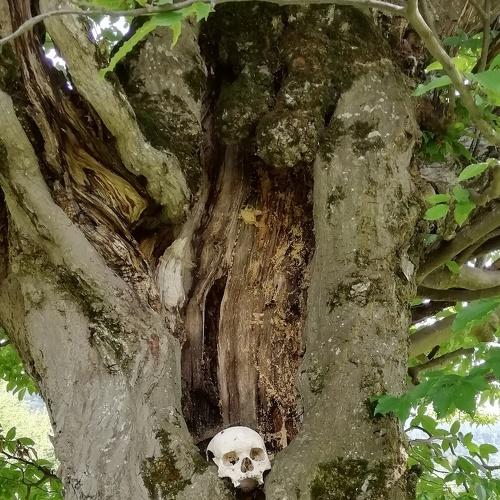 Photo #3719574