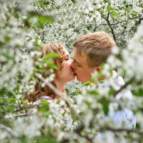 Photo #3719619