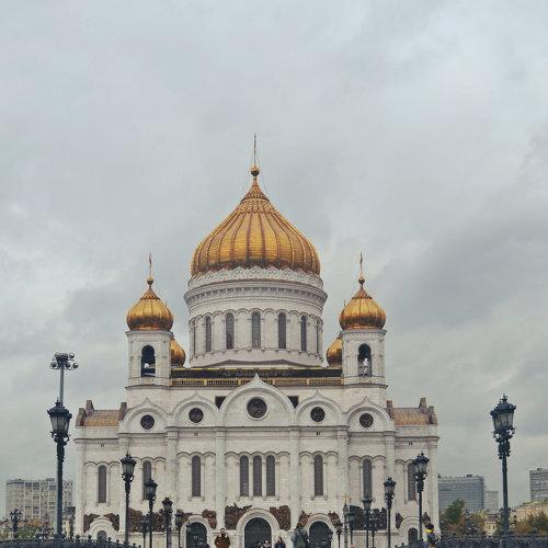 Photo #3719748