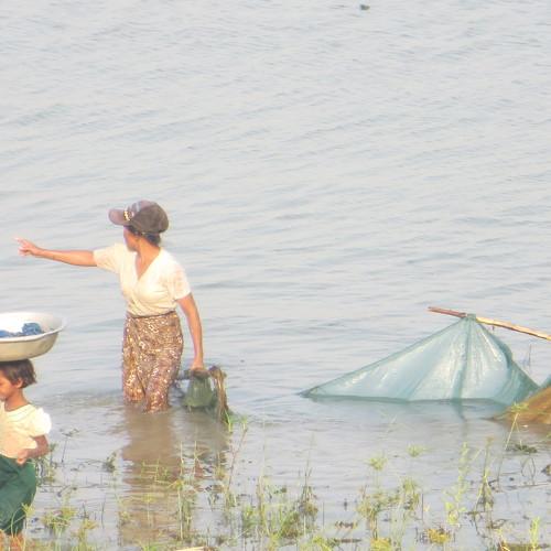 Photo #3719897