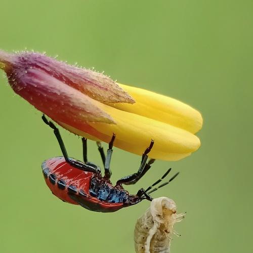 Photo #3720009