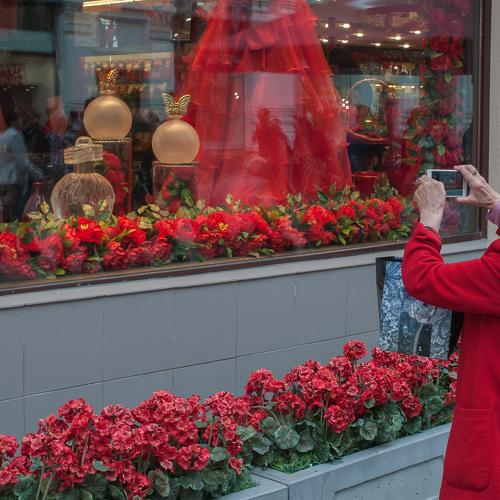 Photo #3720087