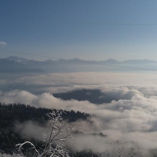 Photo #3720241