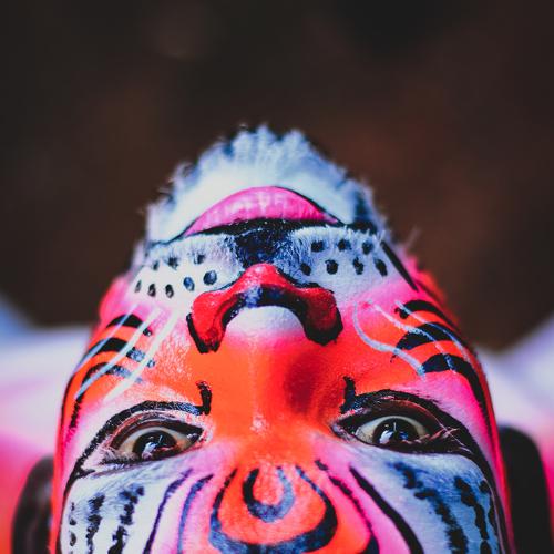 Photo #3720361