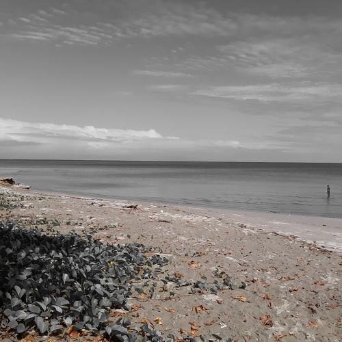 The Black Sea Line.