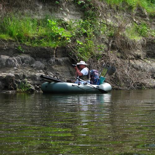 Photo #3720890