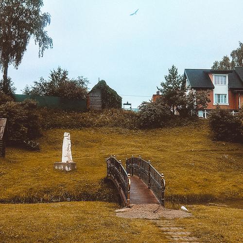 Photo #3721497
