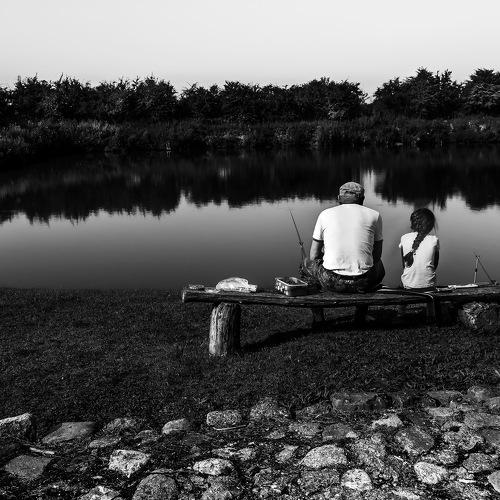 Photo #3722403