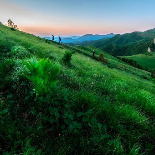 Фотография #3722409