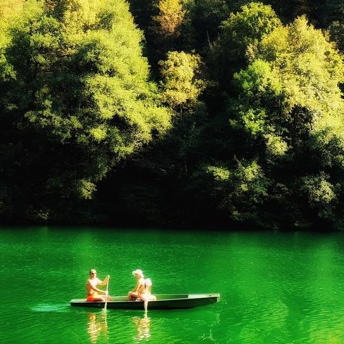 Photo #3722435