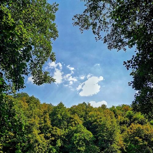 Photo #3722442