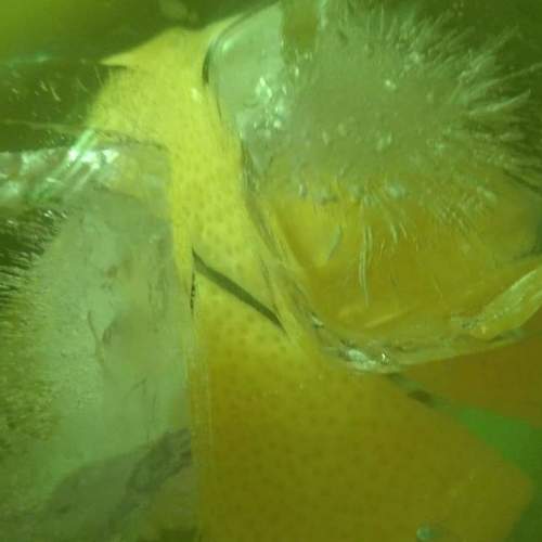 Photo #3722988