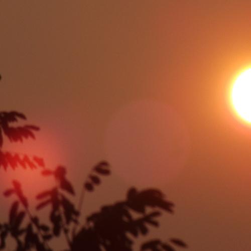 Photo #3723006