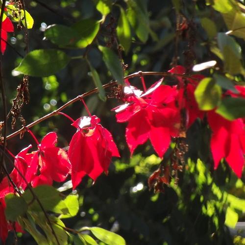Photo #3723010