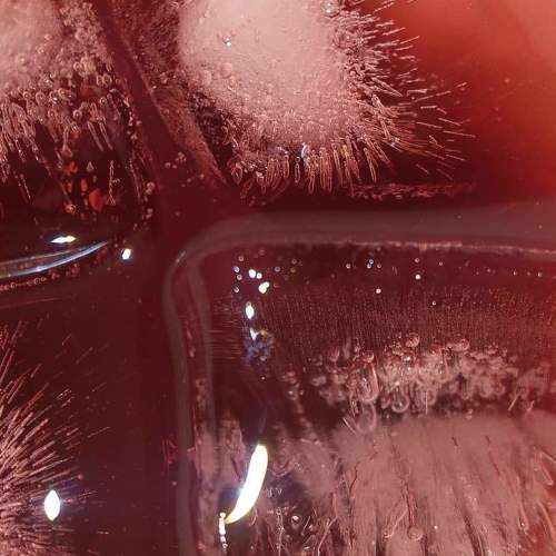 Photo #3723024