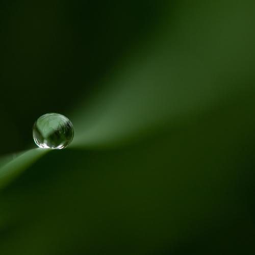 Photo #3723186