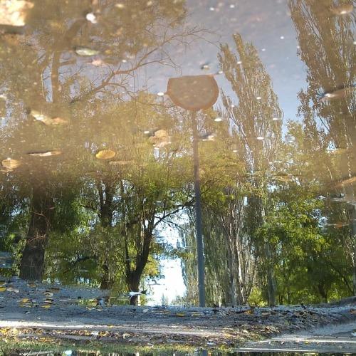 Photo #3723194